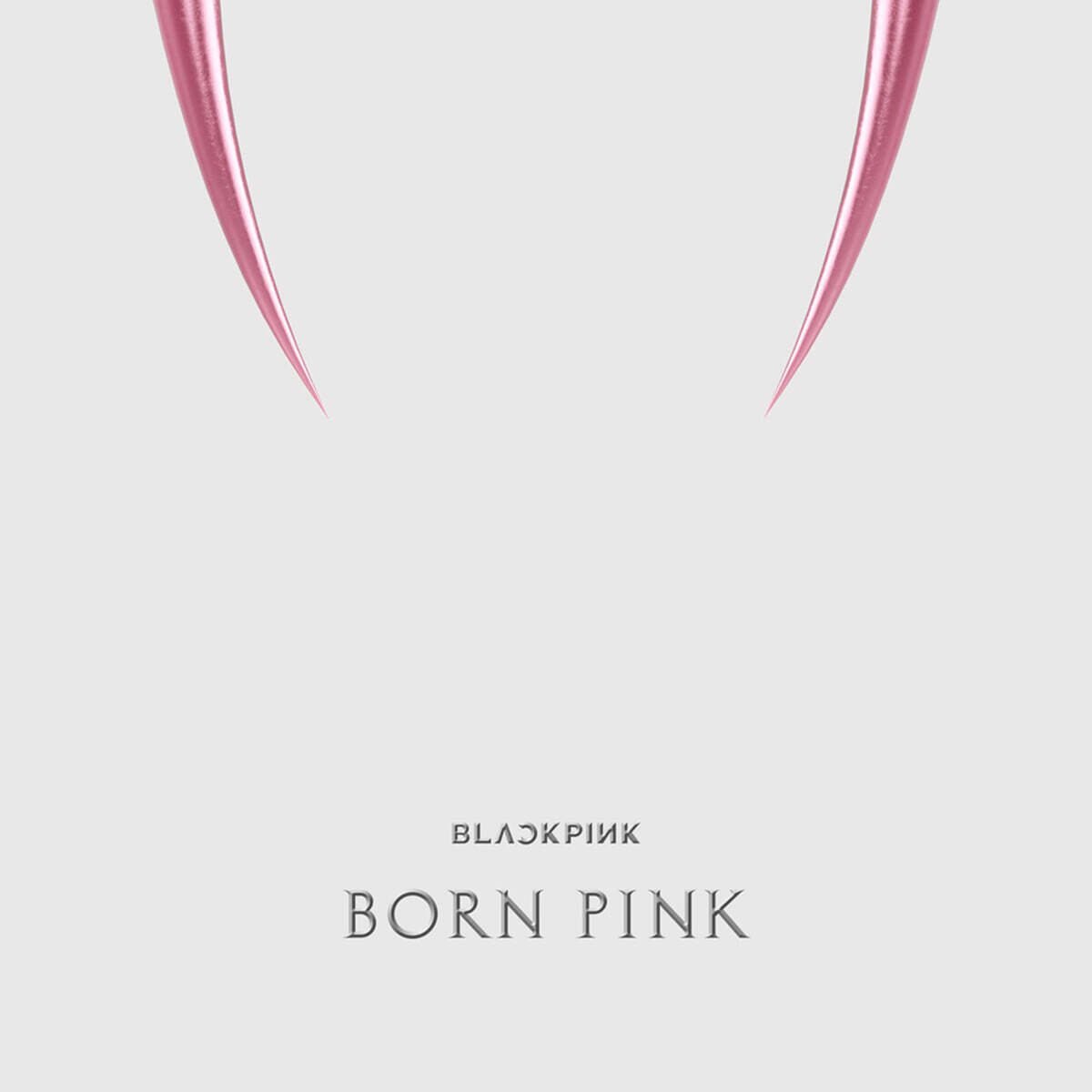 블랙핑크 (BLACKPINK) - BLACKPINK 2nd ALBUM [BORN PINK] KiT ALBUM