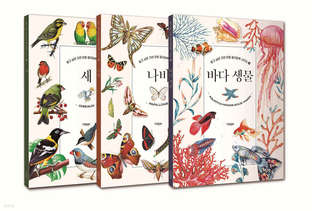 알고 싶은 자연 관찰 컬러링북 세트 : 새+나비+바다생물