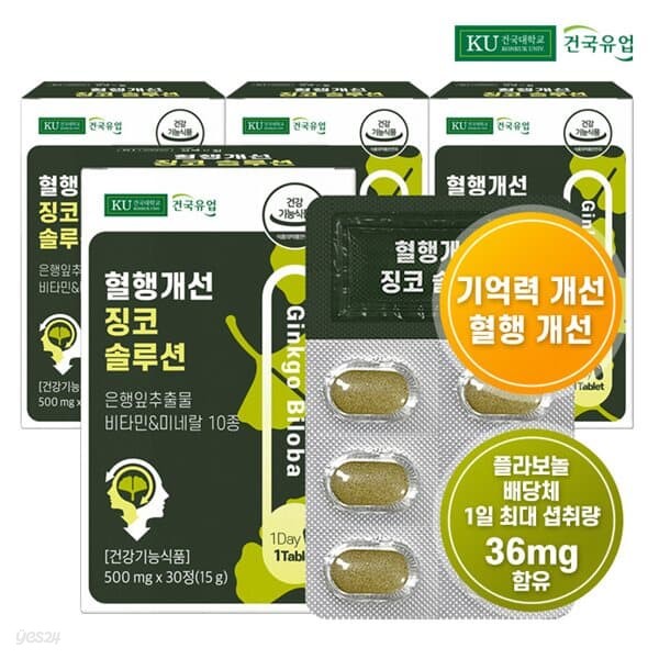 [건국유업] 혈행개선 징코 솔루션 30정x4개(4개월)
