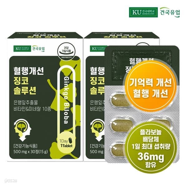 [건국유업] 혈행개선 징코 솔루션 30정x2개(2개월)