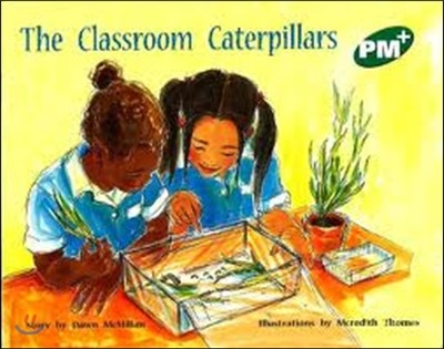 Classroom Caterpillars PM Plus Level 13 Green