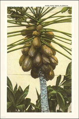 Vintage Journal Papaya Tree, Florida