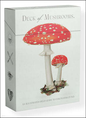 The Deck of Mushrooms: An Illustrated Field Guide to Fascinating Fungi