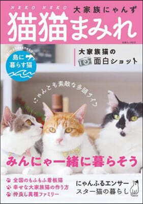 猫猫まみれ 大家族にゃんず