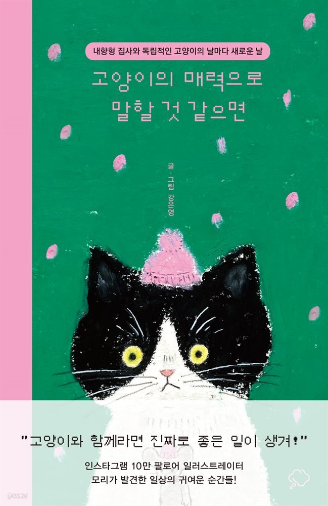 고양이의 매력으로 말할 것 같으면