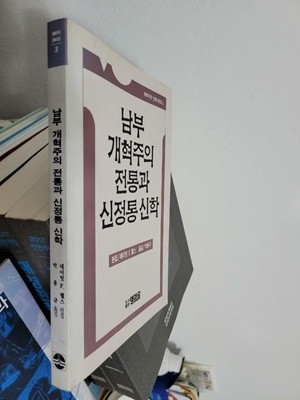 남부 개혁주의 전통과 신정통 신학