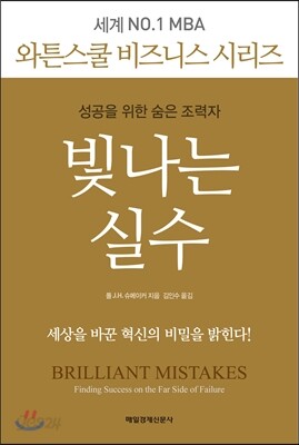 빛나는 실수