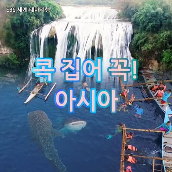 [스페셜] 콕 집어 꼭! 아시아