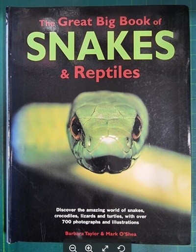 THE GREAT BIG BOOK OF SNAKES & REPTILES / BARBARA TAYLOR & MARK O`SHEA / HERMES HOUSE [영어원서 / 상급] - 실사진과 설명확인요망