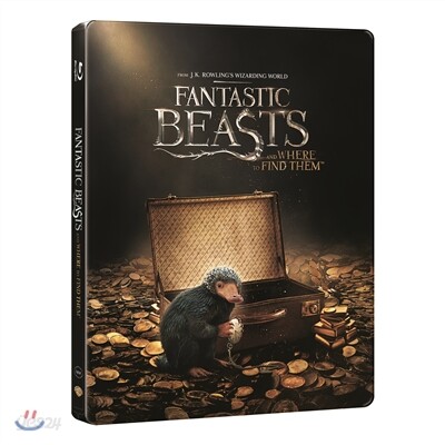 신비한 동물사전 (2D+3D 2Disc 스틸북 한정판) : 블루레이