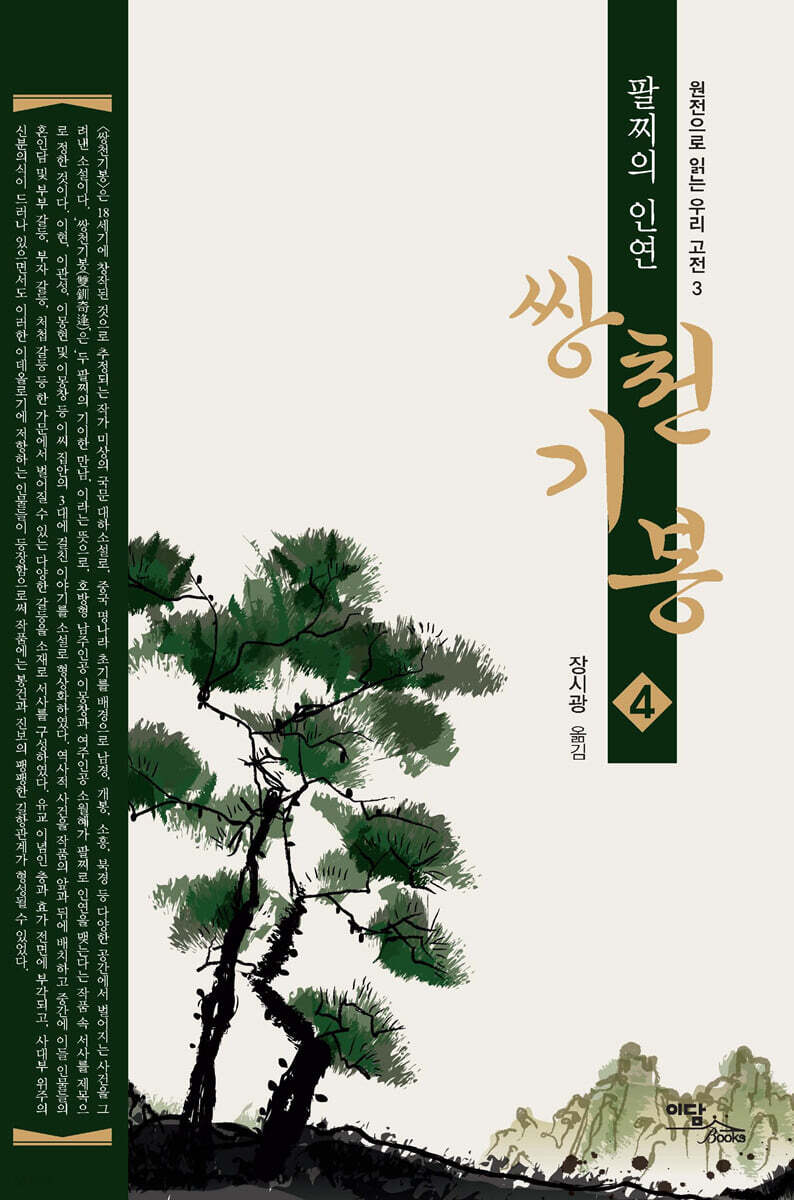 쌍천기봉 4 (큰글자도서)