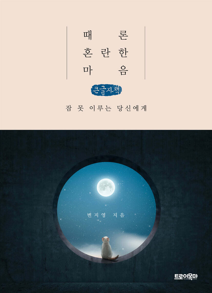 때론 혼란한 마음 (큰글자책)