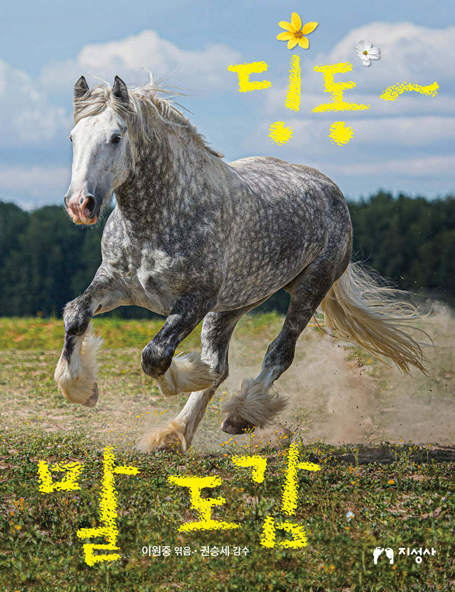 딩동~ 말 도감
