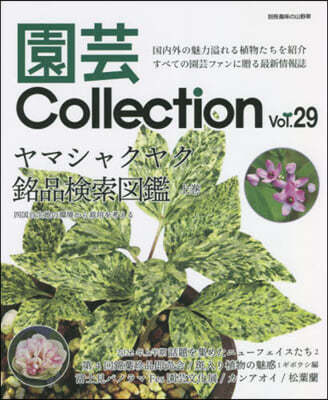 Collection Vol.29