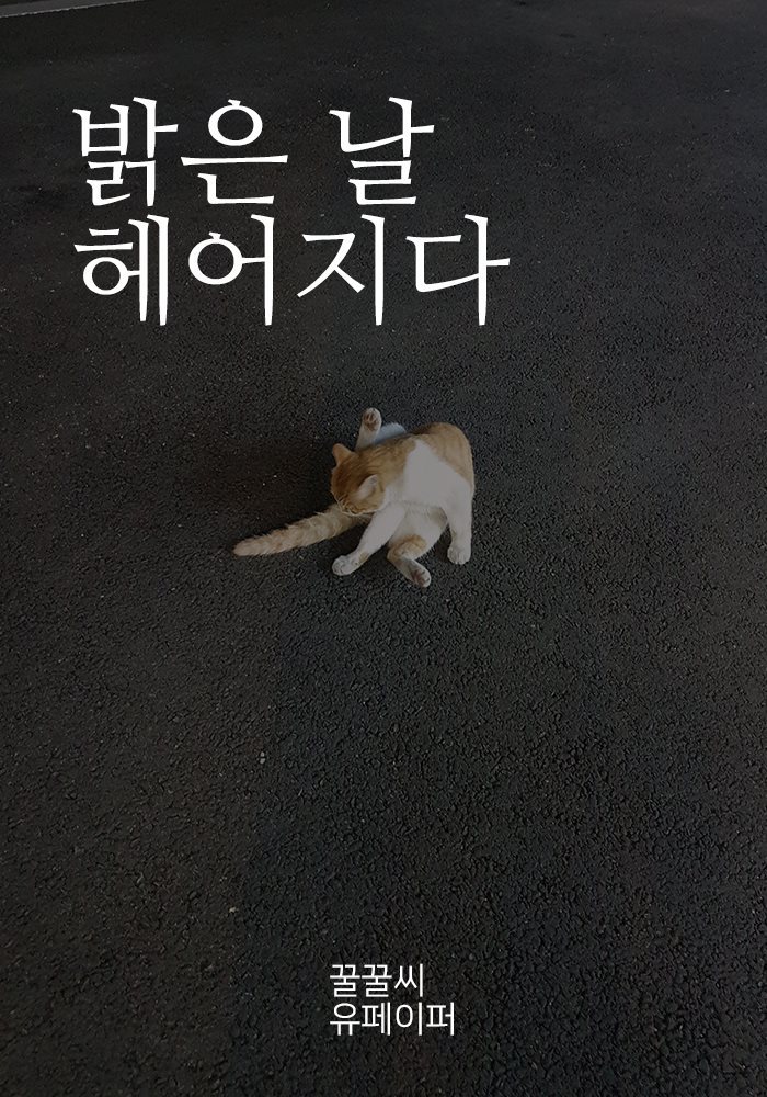 밝은 날 헤어지다