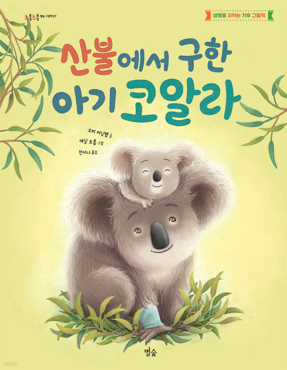 산불에서 구한 아기 코알라