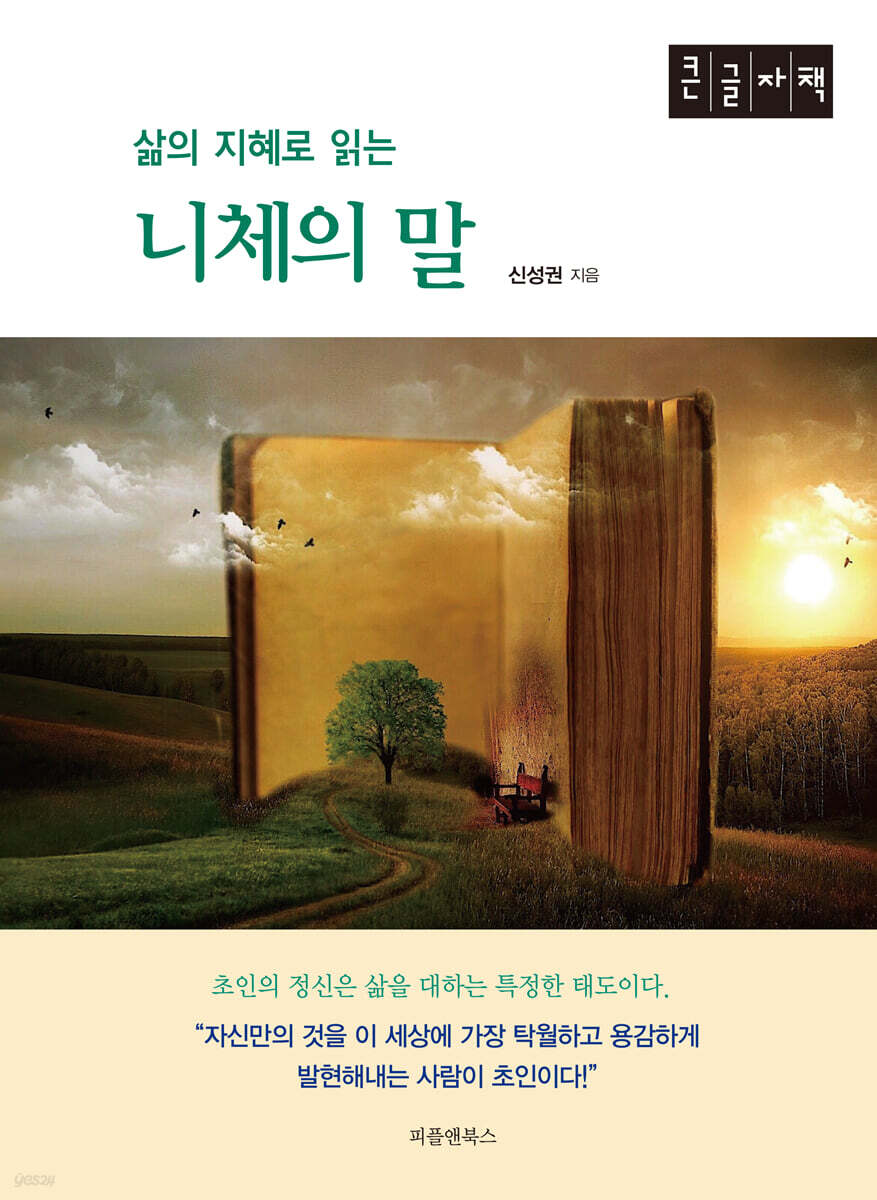삶의 지혜로 읽는 니체의 말 (큰글자책)