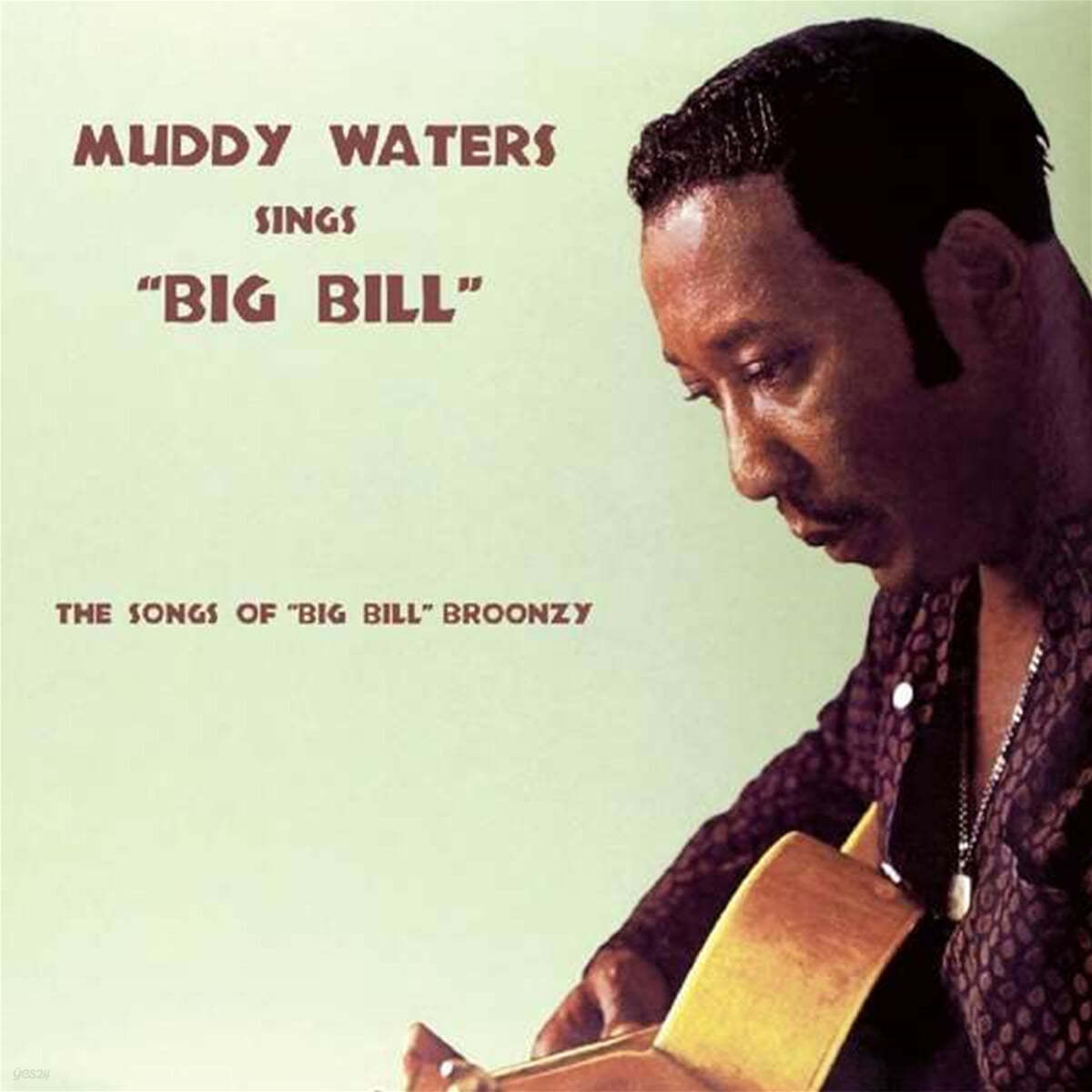 Muddy Waters (머디 워터스) - Sings Big Bill