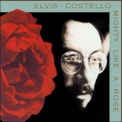 Elvis Costello — Mighty Like A Rose 앨범 커버
