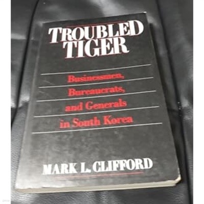 Troubled Tiger  Businessmen, Bureaucrats, and Generals in South Korea