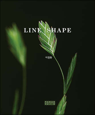 LINE SHAPE