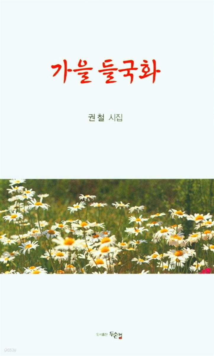 가을 들국화