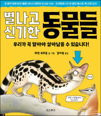 책 정보