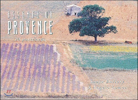 Essence of Provence Postcard Book