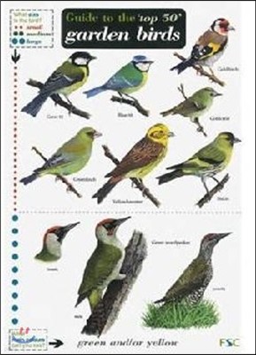 Guide to the Top 50 Garden Birds