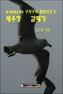 새우깡 갈매기