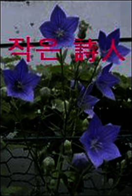 작은 詩人