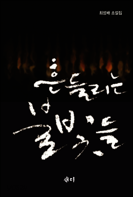 흔들리는 불빛들