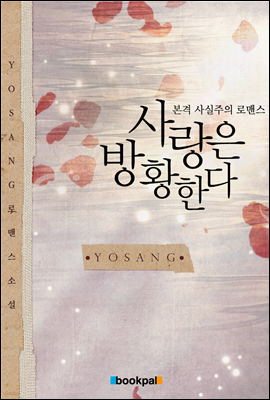 책 정보