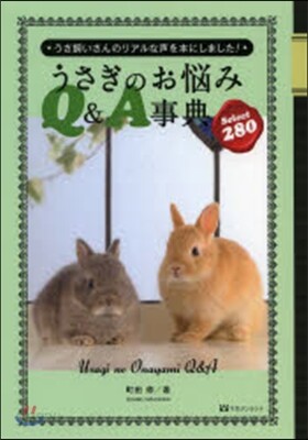 うさぎのお惱みQ&A事典Select