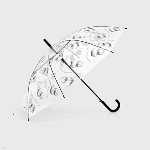STEEL COVY PATTERN-CLEAR(우산)
