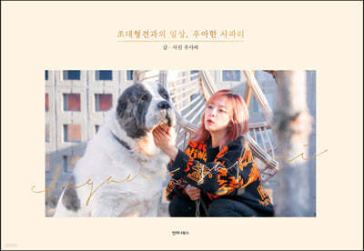 책 정보