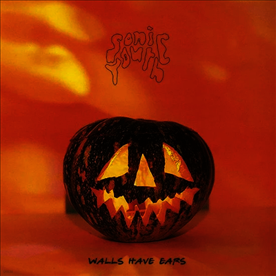 Sonic Youth — Walls Have Ears 앨범 커버