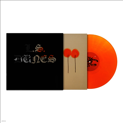 L.S. Dunes — Past Lives 앨범 커버