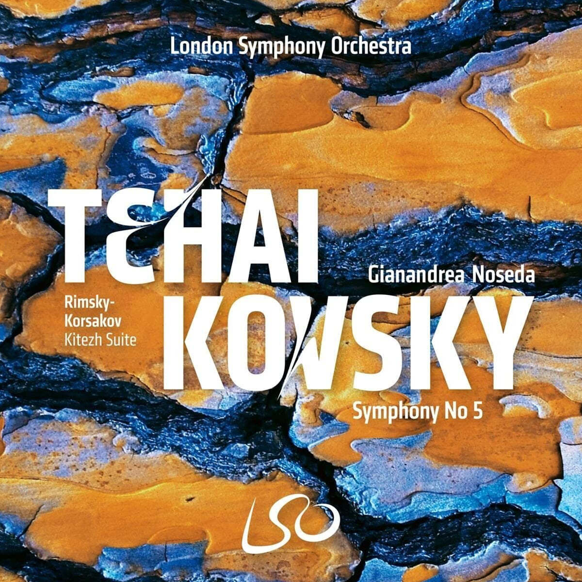 Gianandrea Noseda 차이코프스키: 교향곡 5번 외 (Tchaikovsky: Symphony No. 5 / Rimsky-Korsakov: Kitezh Suite)
