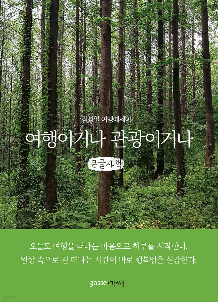 여행이거나 관광이거나 (큰글자책)