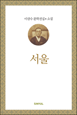 이광수 문학전집 소설 28