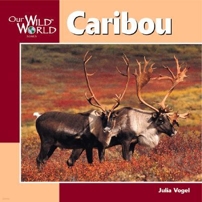 Caribou