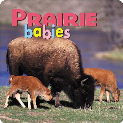 Prairie Babies