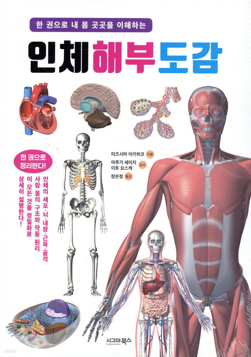 인체 해부 도감