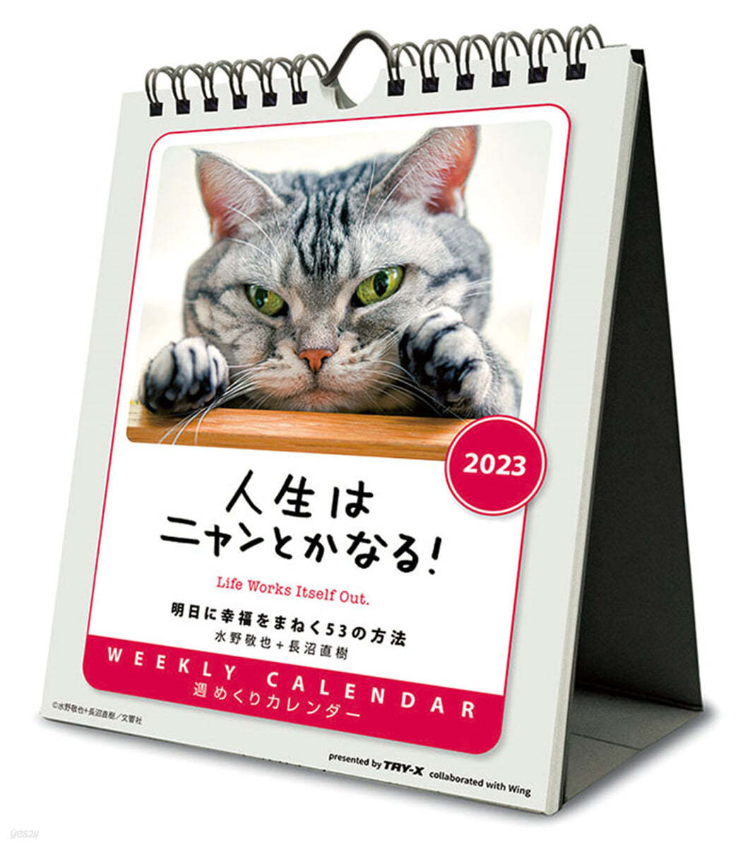 人生はニャンとかなる! 2023年 カレンダ-   