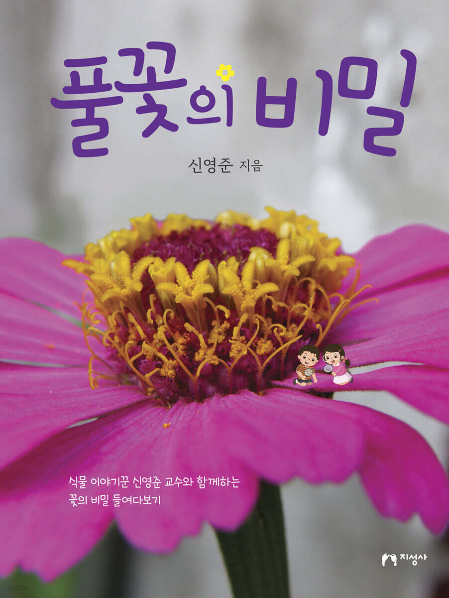 풀꽃의 비밀