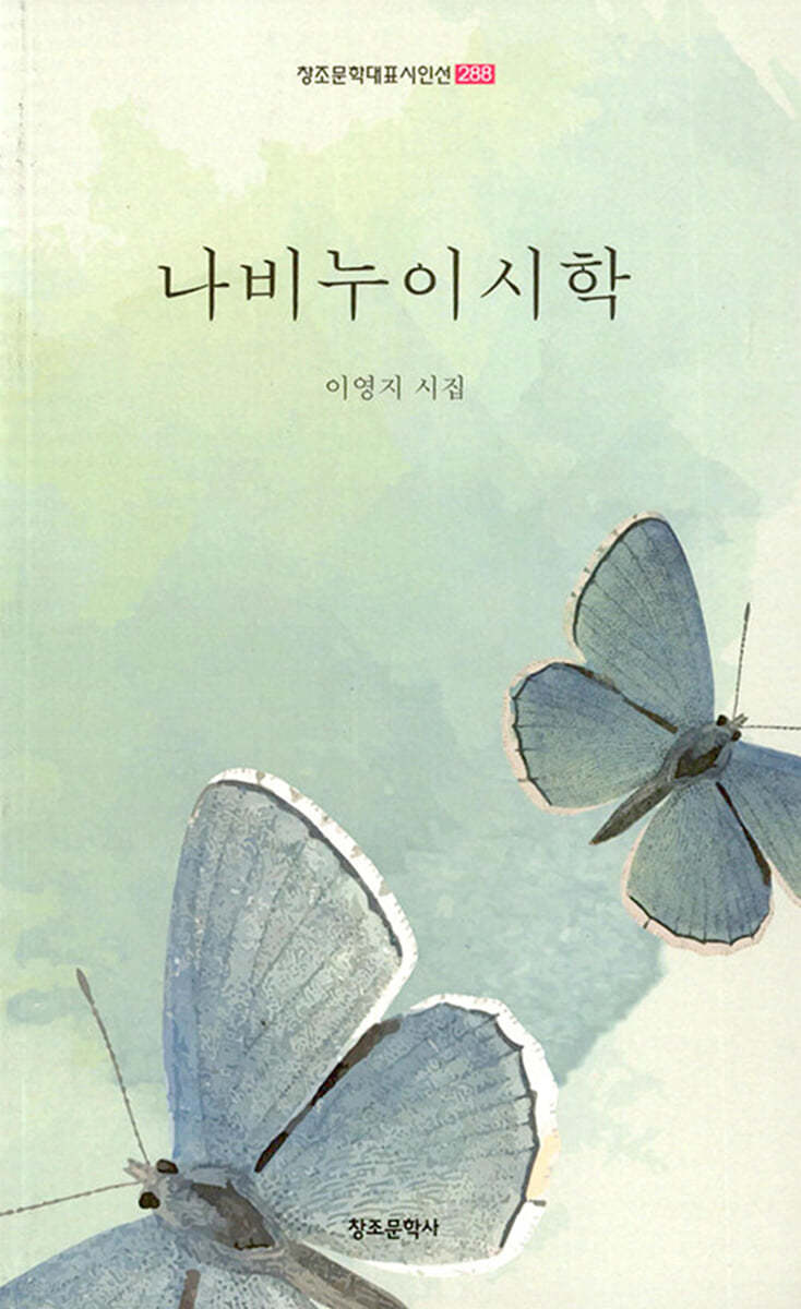 나비누이시학