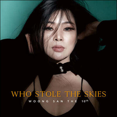 웅산 - 10집 Who stole the skies