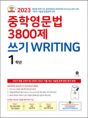 п 3800  WRITING 1г