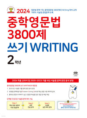 п 3800  WRITING 2г